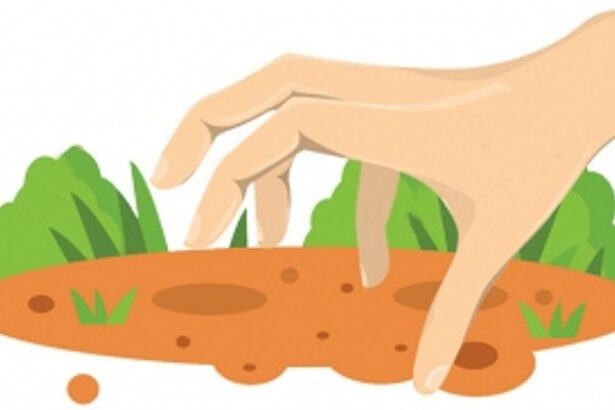 Land grab victims blame cops for ‘emboldening’ fraudsters