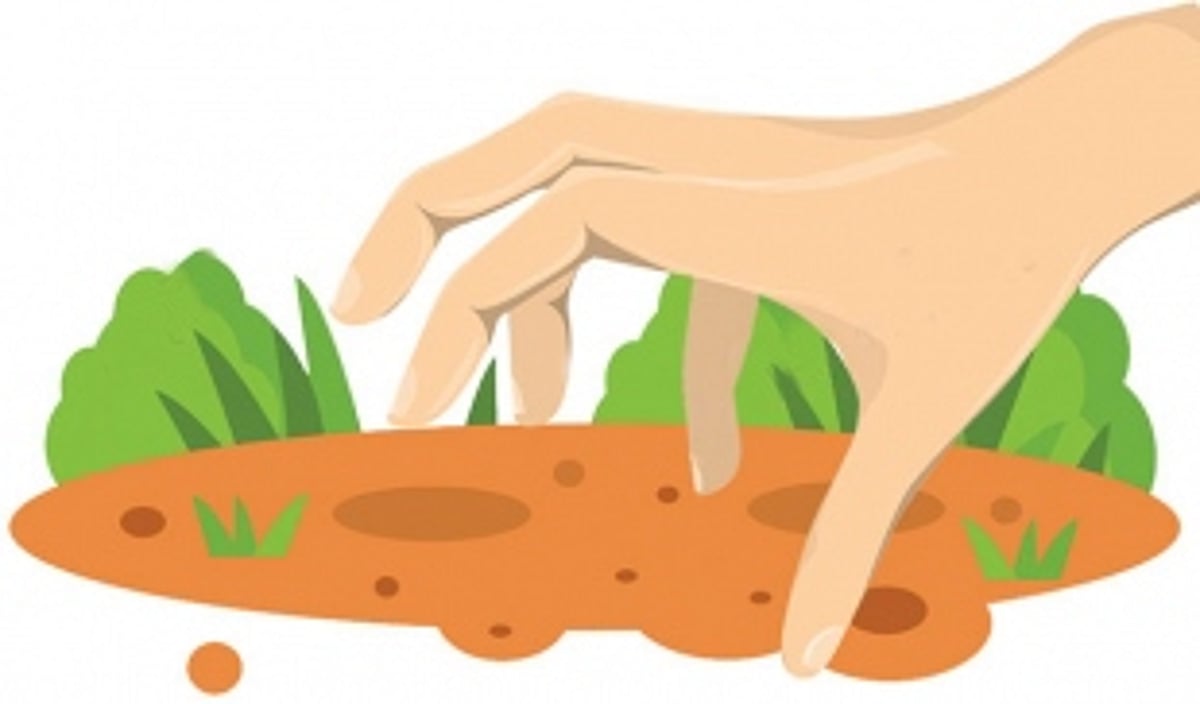 Land grab victims blame cops for ‘emboldening’ fraudsters