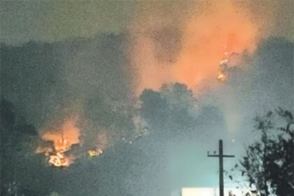 Land mafia behind forest fires: Yuri Alemao