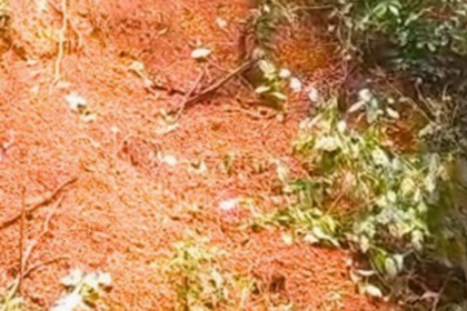 Landslide Reported in Chirputem, Priol After Cable Trenching; Residents Urge Action
