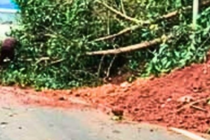 Landslide and Treefall Reported Near Kashimutt-Bandora; NH Authorities Begin Debris Clearance