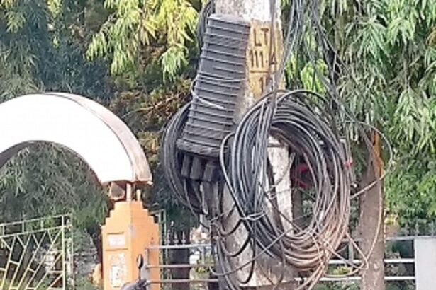Large bundles of cables hanging  from electricity poles at Vasco