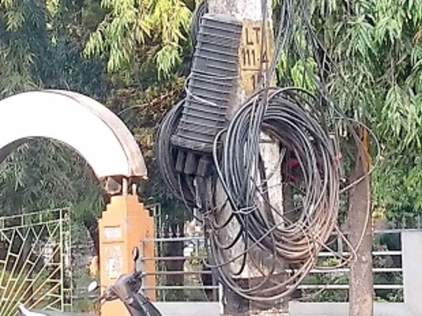 Large bundles of cables hanging from electricity poles at Vasco
