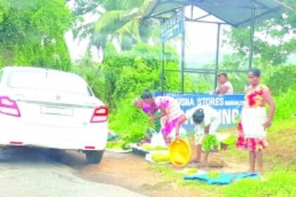 Leafy greens, ‘gaunti’ vegetables become dearer as festival season begins