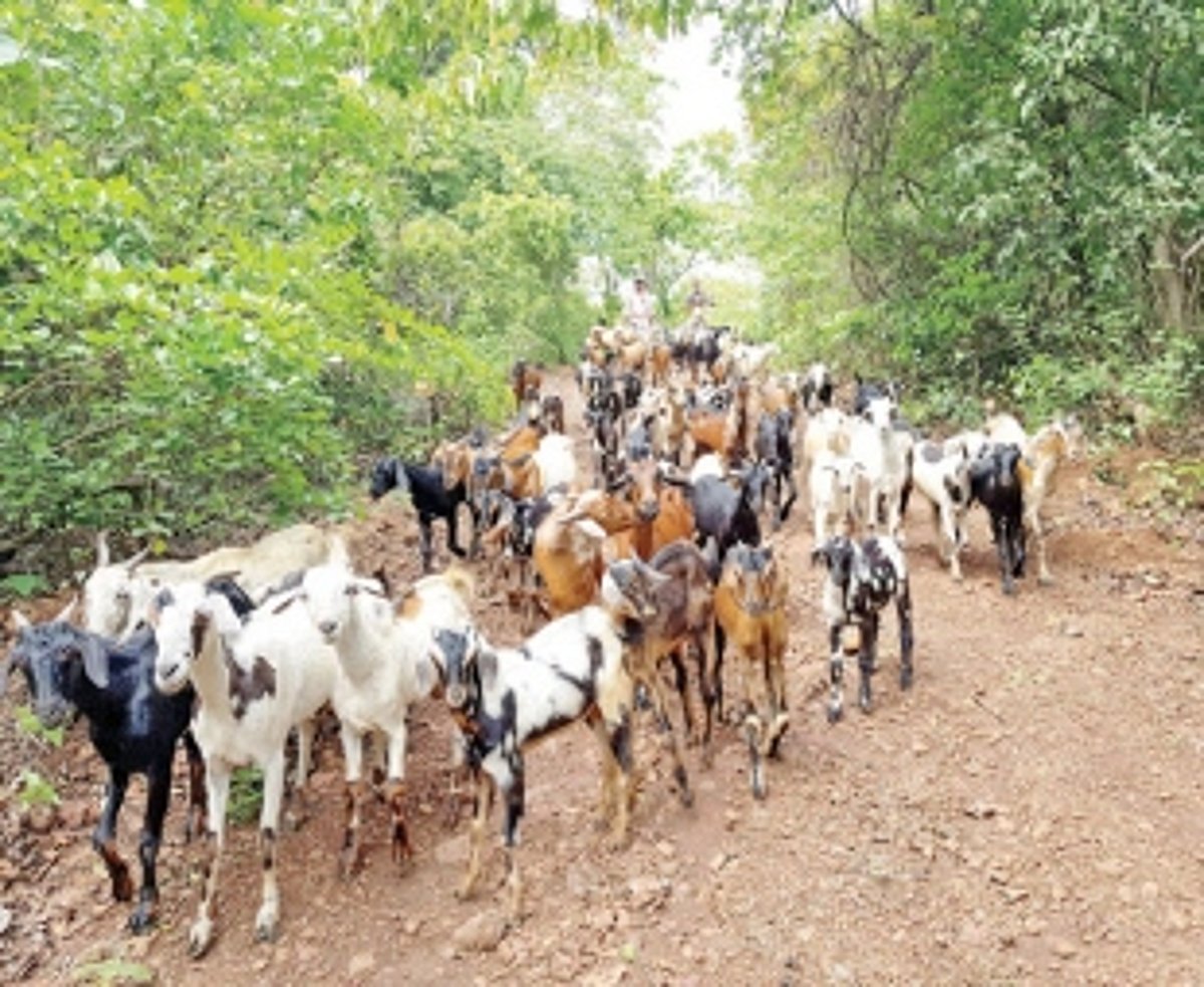 Left on their own and suffering for it