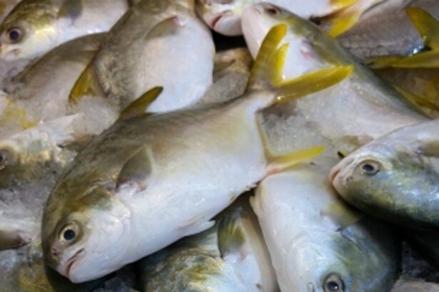Legislators call for action against importers for use of formalin