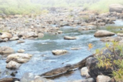 Legislators unite over Mhadei, demand that Centre nix approval to Karnataka’s DPR for Kalasa-Bandura dam projects