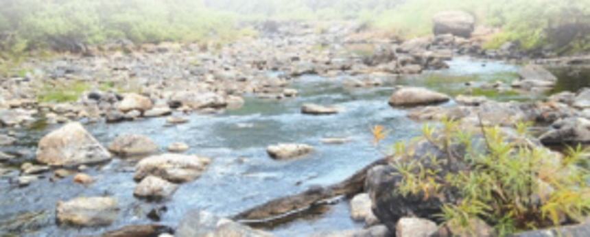 Legislators unite over Mhadei, demand that Centre nix approval to Karnataka’s DPR for Kalasa-Bandura dam projects