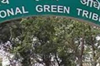 Leisurely plan pace gets NGT wakeup call