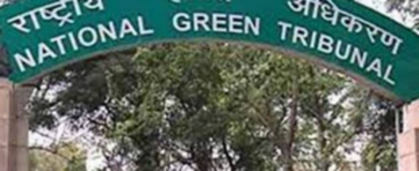 Leisurely plan pace gets NGT wakeup call 1 Leisurely plan pace gets NGT wakeup call