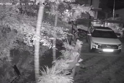 Leopard Attacks Pet Dog in Molcornem, Sparking Fears of Rising Human-Wildlife Conflict