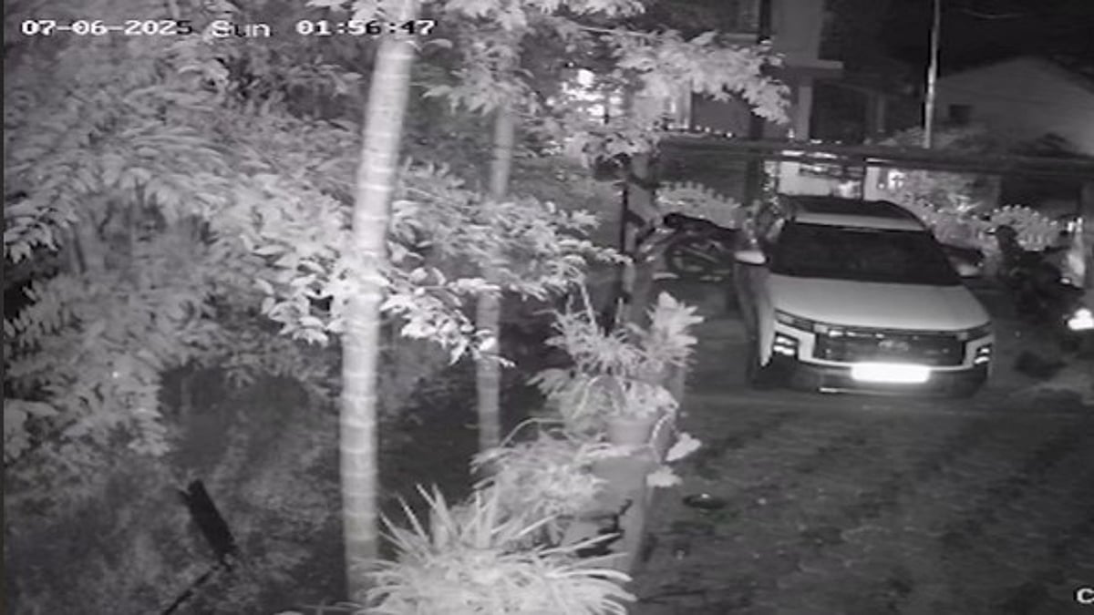 Leopard Attacks Pet Dog in Molcornem, Sparking Fears of Rising Human-Wildlife Conflict