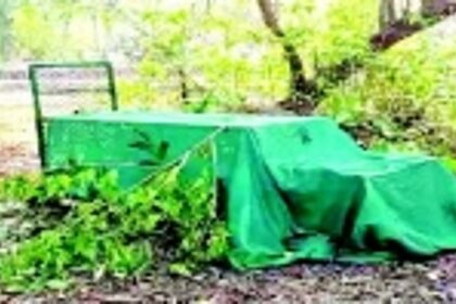 Leopard sightings stir fear among residents of Pernem taluka