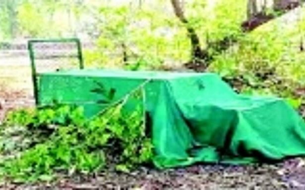 Leopard sightings stir fear among residents of Pernem taluka