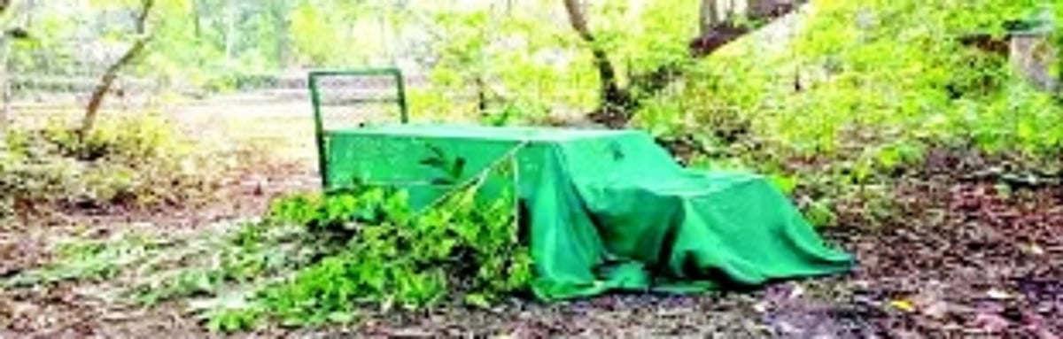 Leopard sightings stir fear among residents of Pernem taluka