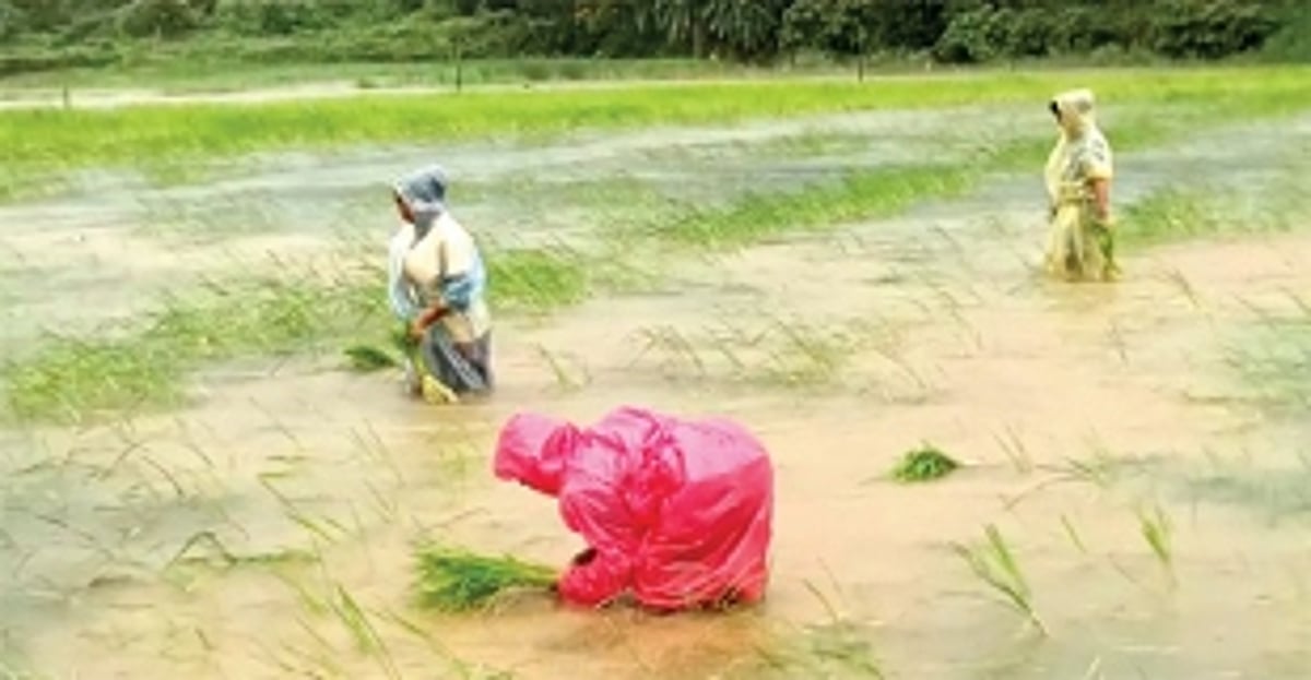 Let development have a heart, don’t destroy Mother Earth which feeds us, say Loutolim farmers