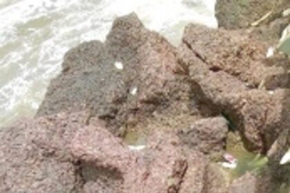 Lethargy and litter destroy Goa’s beauty