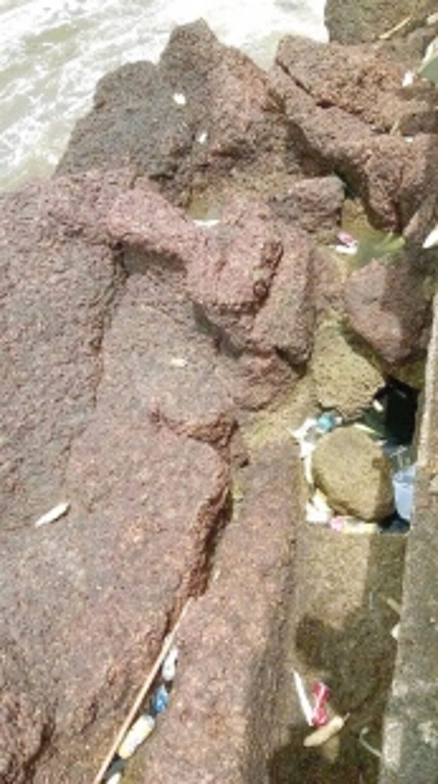 Lethargy and litter destroy Goa’s beauty 1 Lethargy and litter destroy Goa’s beauty