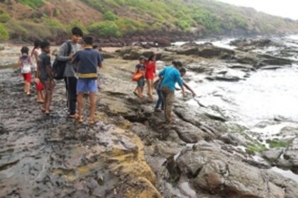 Let’s save the environment: A step in the right direction