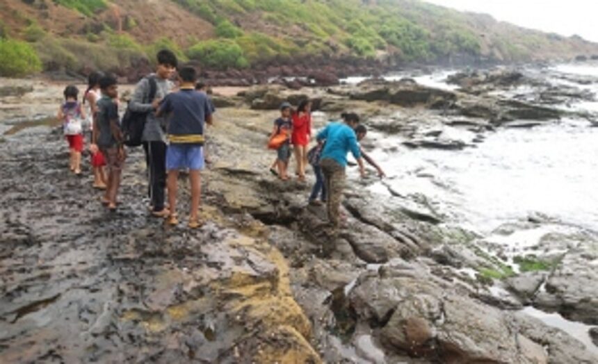 Let’s save the environment: A step in the right direction