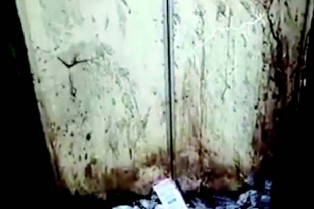 Lifts in limbo,  urine-streaked walls: Margao’s Osia complex reeks of neglect