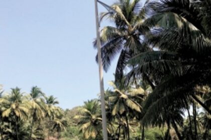 Lighting immediately restored on Matanhy Saldanha Bridge