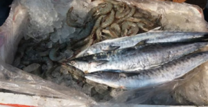 Like Pollem, Like Margao: Few samples tested only in the name for formalin testing