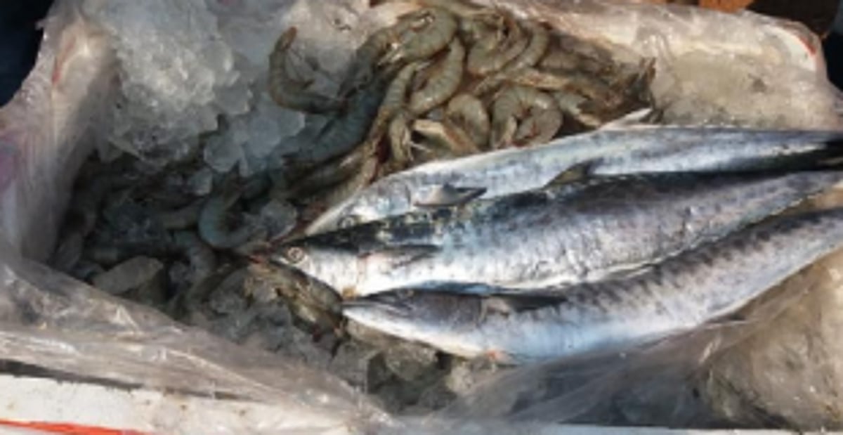 Like Pollem, Like Margao: Few samples tested only in the name for formalin testing