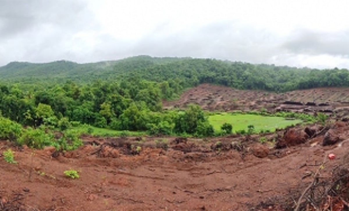 Linear projects cutting through  Mollem forest to be raised in Assembly