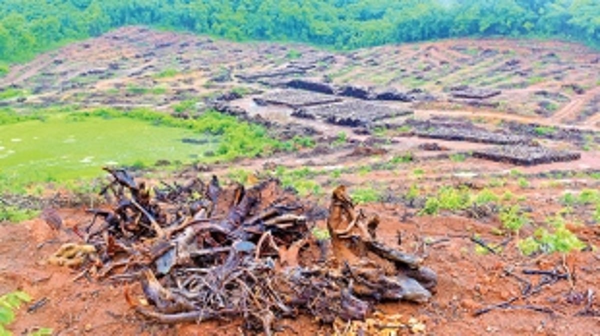 Linear projects oppn gets a strong cause after Uttarakhand calamity