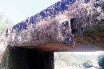 Lives at stake as dilapidated bridge strains under load
