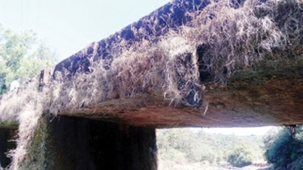 Lives at stake as dilapidated bridge strains under load