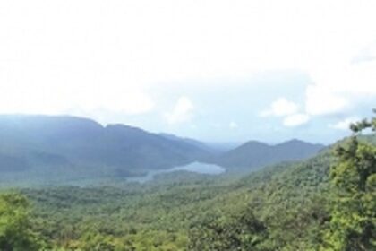 LoP Alemao claims ‘fire mafia’ torching forests to make way for real estate development