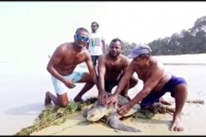 Local Fishermen Rescue Sea Turtle at Varca Beach