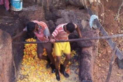Local flavours and a local favourite: The art and craft of making Feni