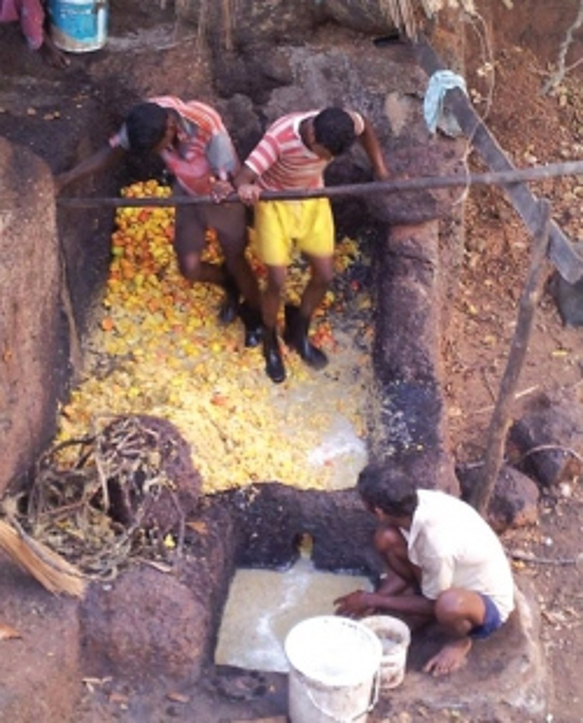 Local flavours and a local favourite: The art and craft of making Feni