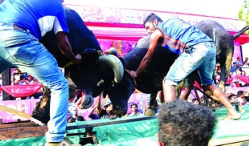 Local residents, tourists line up parade route for a look at the floats; traffic jams mar the festivity