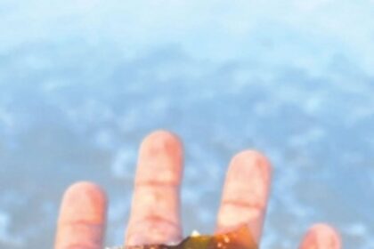 Locals carrying out beach cleaning activities in Salcete flag presence of broken glass bottles