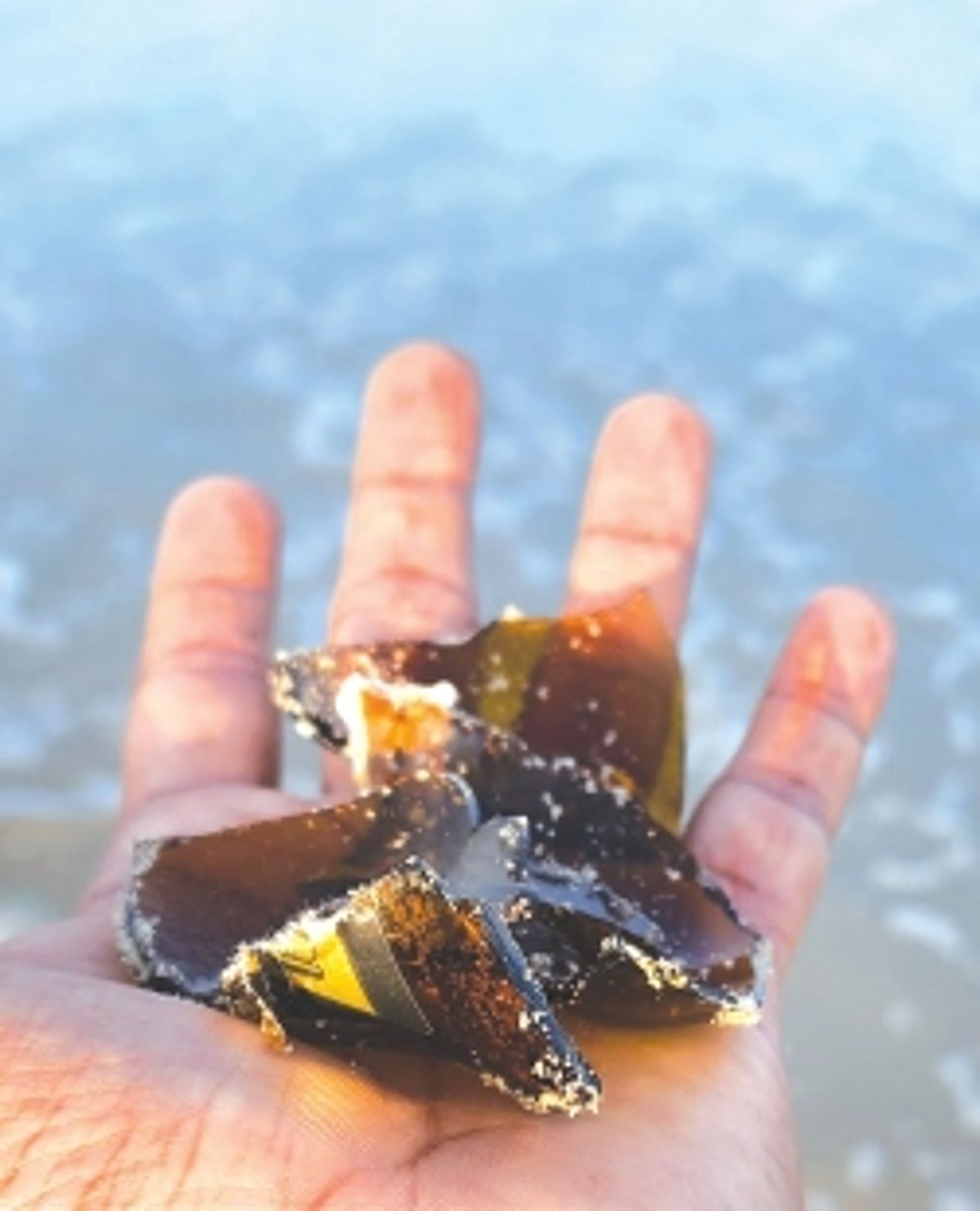 Locals carrying out beach cleaning activities in Salcete flag presence of broken glass bottles