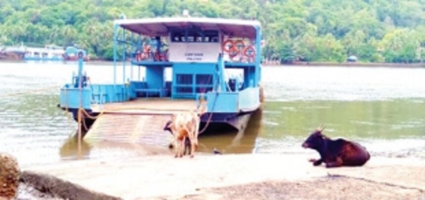 Locals close Adpoi ferry service, shops 1 Locals close Adpoi ferry service, shops