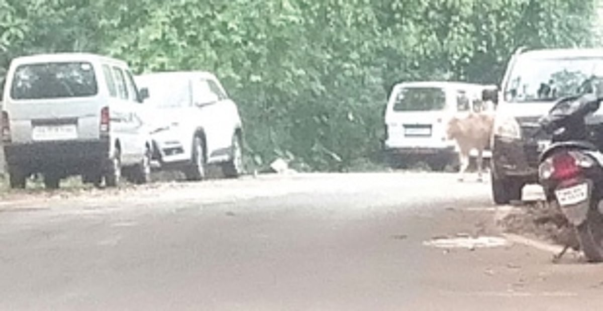 Locals complain of parking, construction  material dumping by roadside in Ponda Taluka