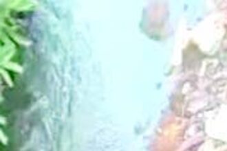 Locals demand desiltation of choked nallah in Banastarim