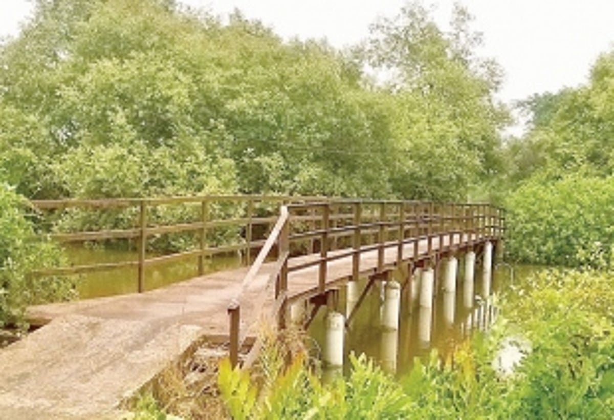 Locals demand reconstruction  of Mayem-Aldona bridge