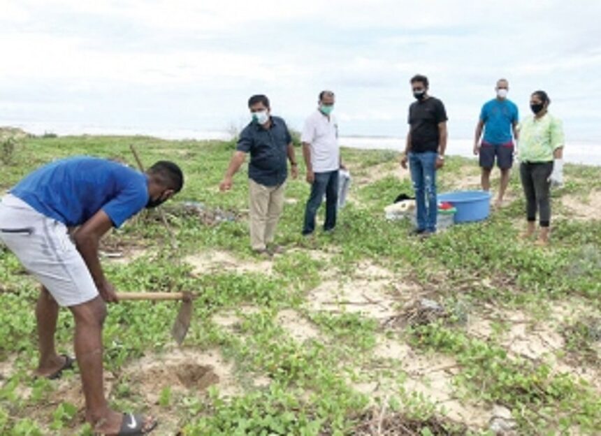 Locals go green on Environment Day, plant ‘kherr’ on Velsao Beach