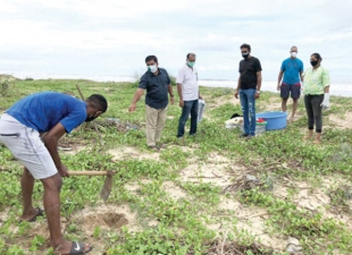Locals go green on Environment Day, plant ‘kherr’ on Velsao Beach