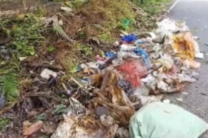 Locals in Margao Ward No. 10 Demand Urgent Garbage Clearance Amid Health Hazards