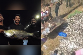 Locals net out impressive harvest at Raitollem Lake and Mandovi River