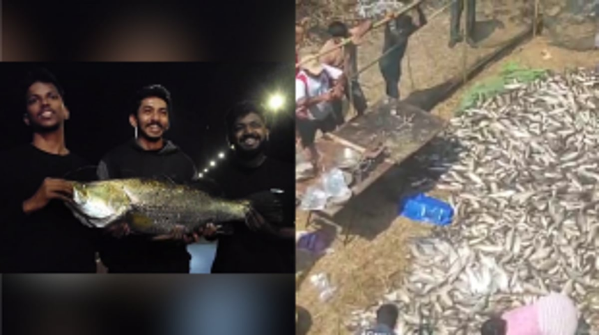 Locals net out impressive harvest at Raitollem Lake and Mandovi River