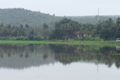 Locals of Loutolim remember Chris as a kid but haven’t seen him for long