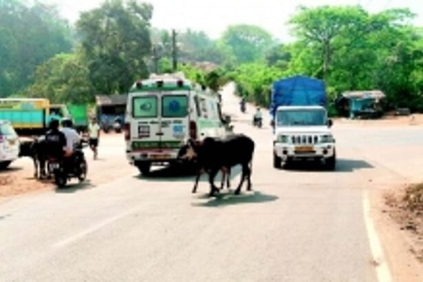 Locals reiterate demand for flyover  at Bethora’s ‘black spot’